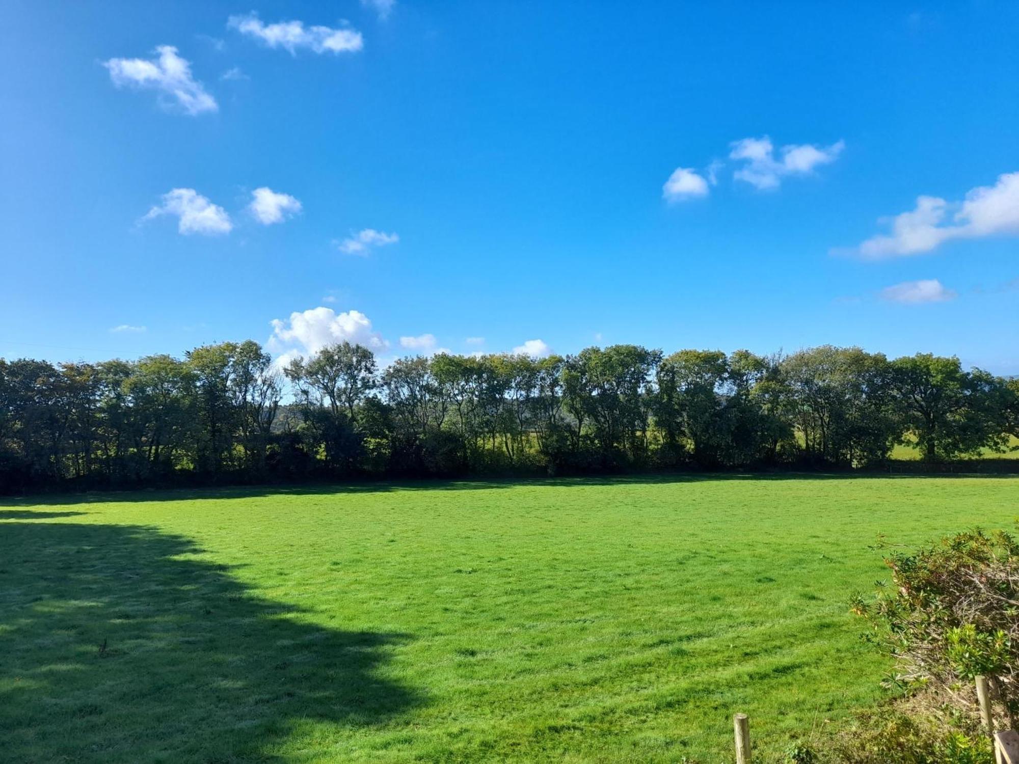 Fairwater Head Ξενοδοχείο Axminster Δωμάτιο φωτογραφία